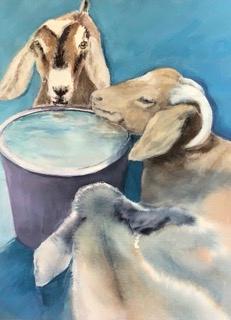 Farm Happy Hour