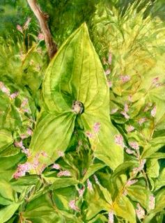 Wapato Loving Tree Frog - Sold