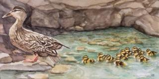 Everybody Out - Sold