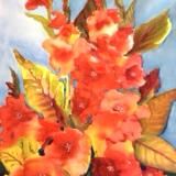 Glorious Canna - Sold