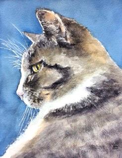 Tabby Cat Profile