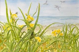 Wild Coastal Iris